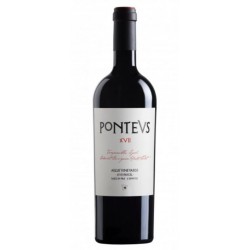 PONTEVS XVII TINTO